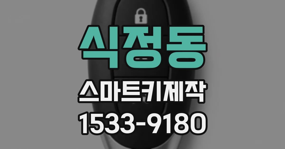 식정동 스마트키제작