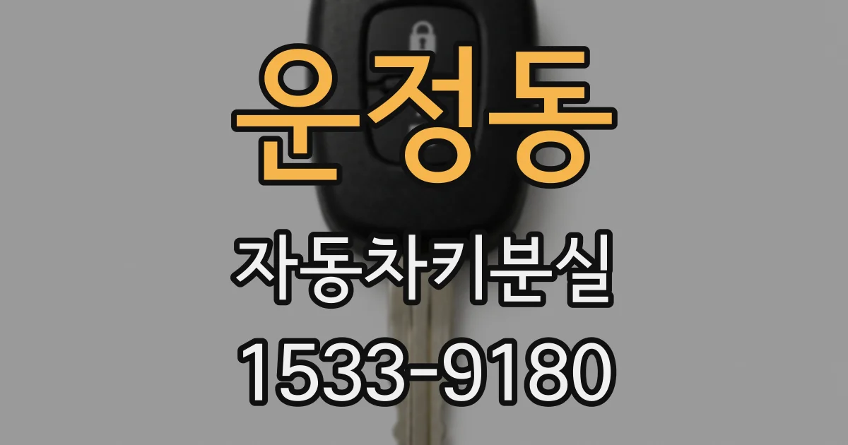 운정동 자동차키분실
