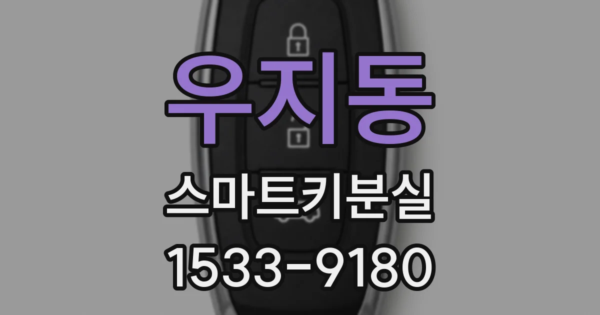 우지동 스마트키분실