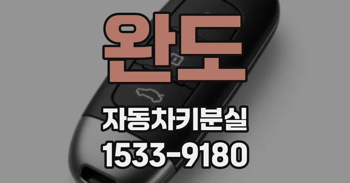 완도 자동차키분실