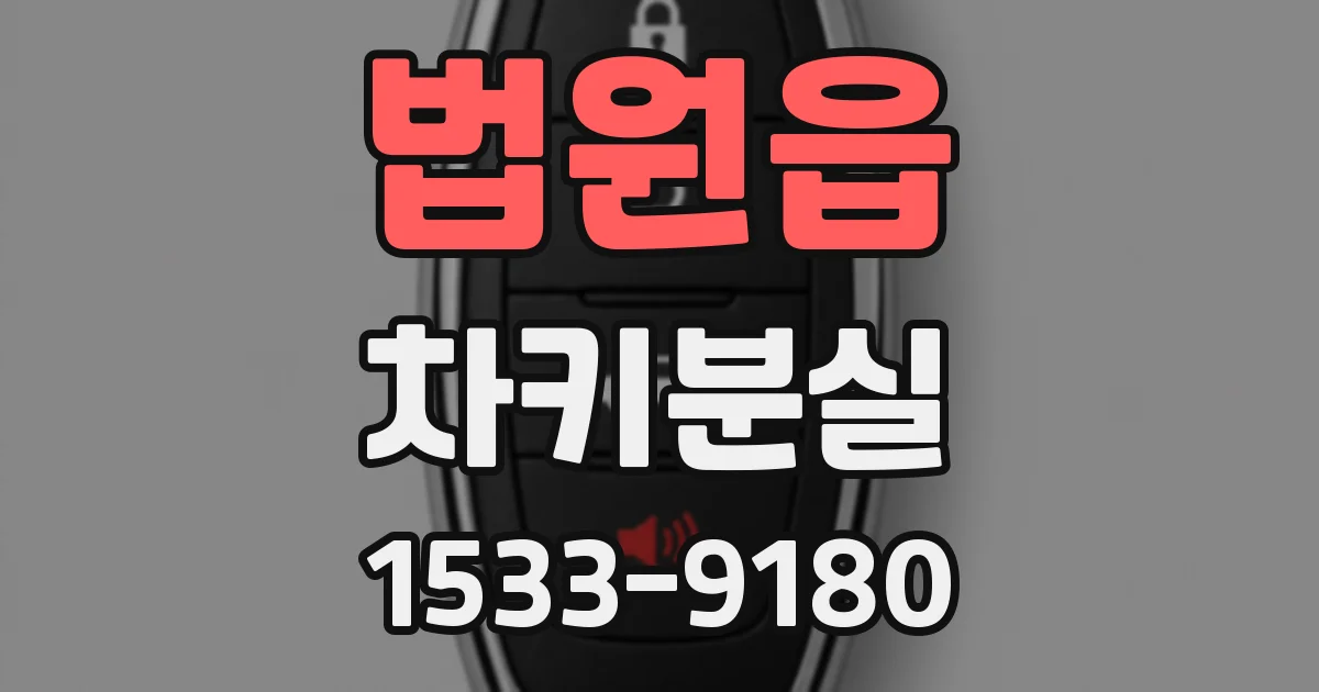 법원읍 차키분실