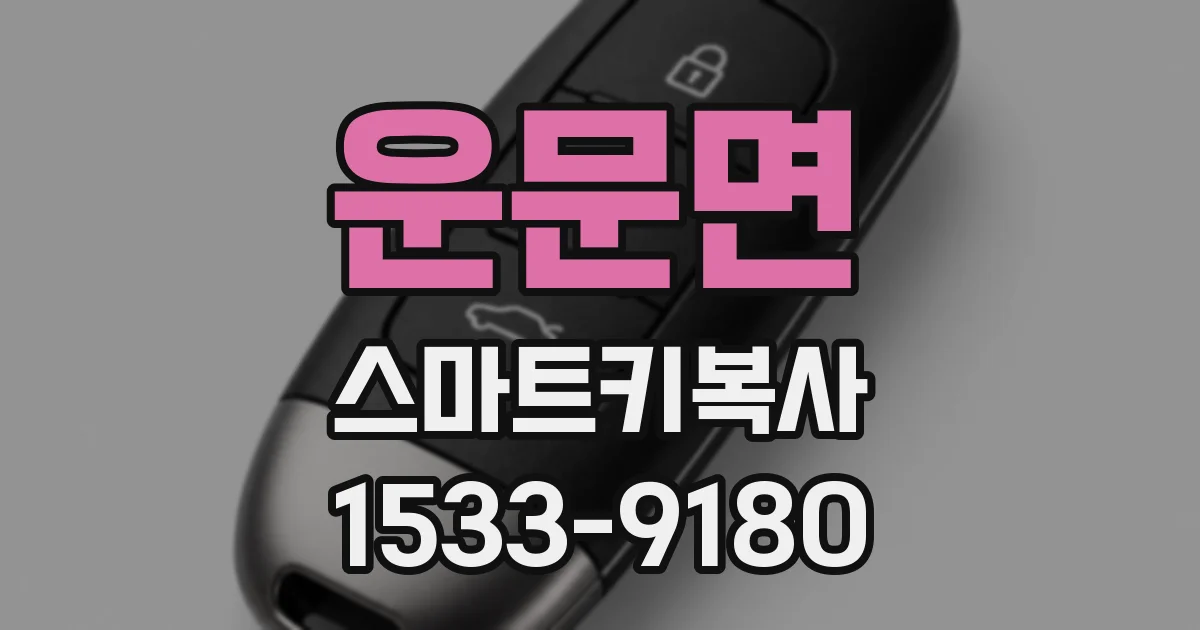 운문면 스마트키복사