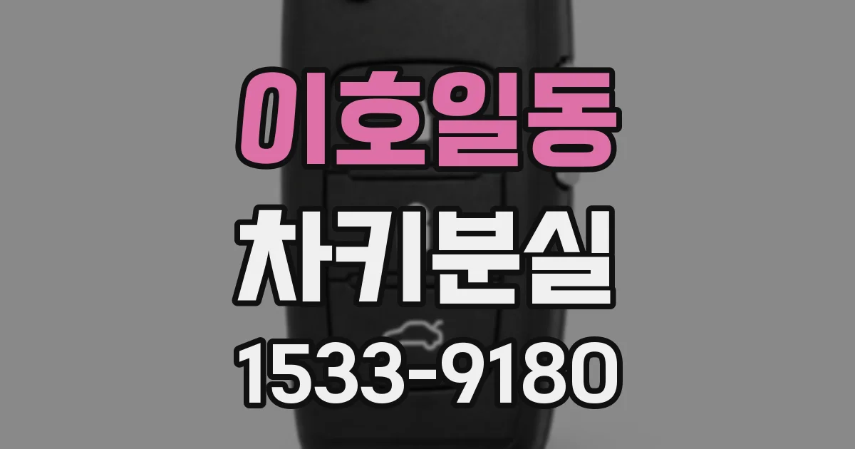 이호일동 차키분실