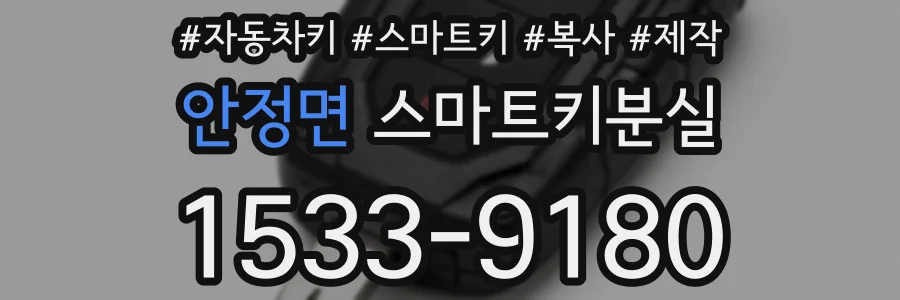 안정면 스마트키분실