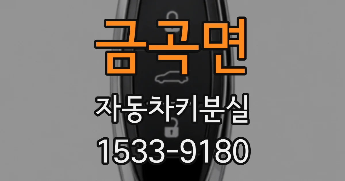 금곡면 자동차키분실