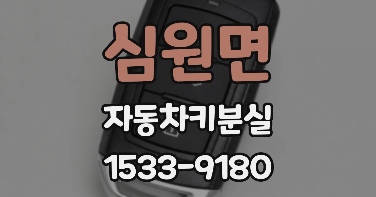 심원면 자동차키분실
