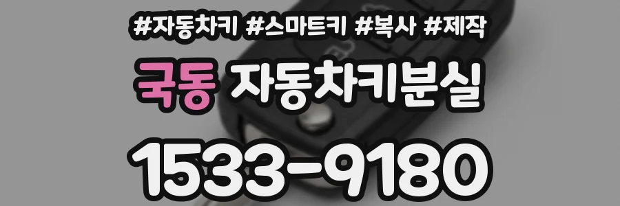 국동 자동차키분실
