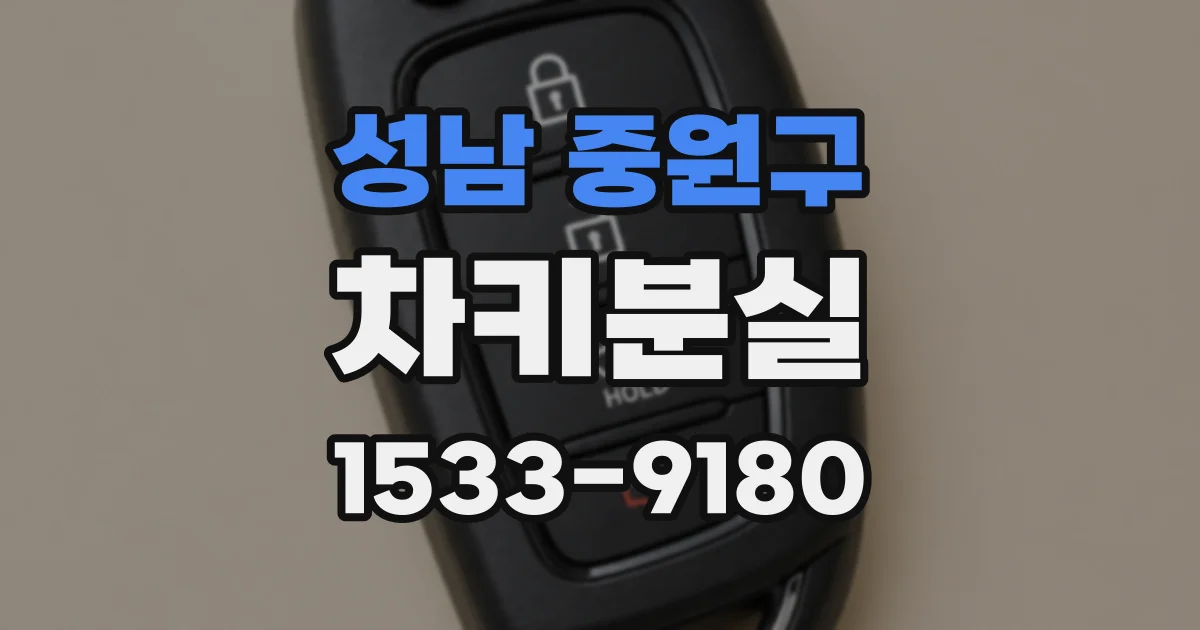 성남 중원구 차키분실