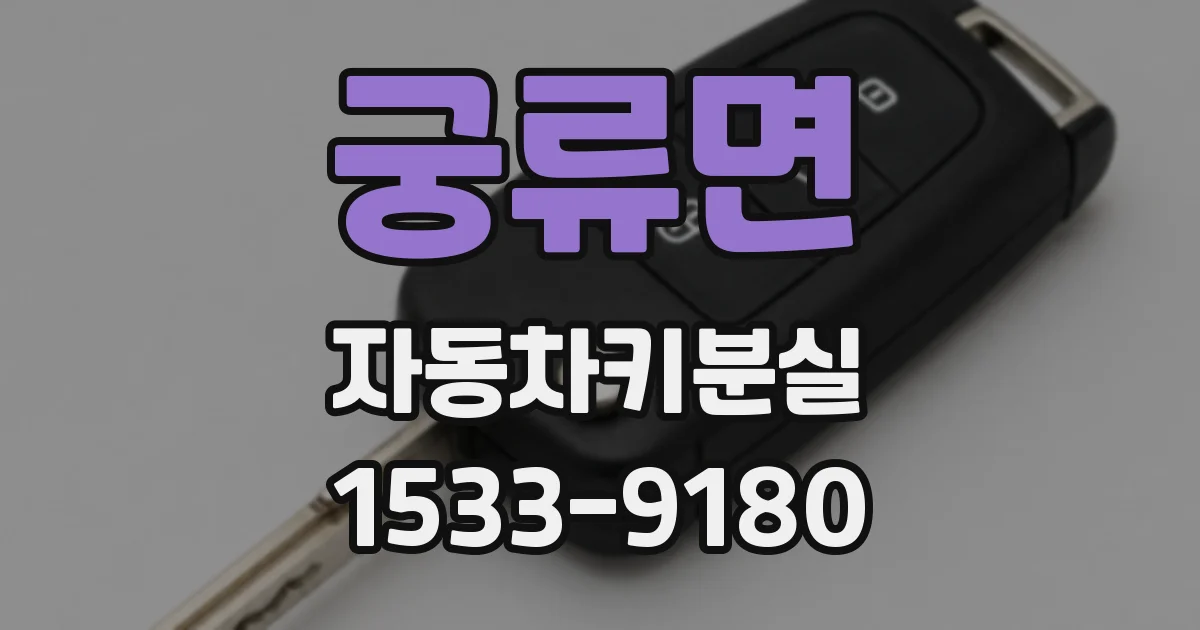궁류면 자동차키분실