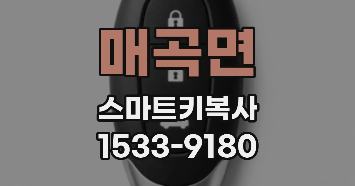 매곡면 스마트키복사