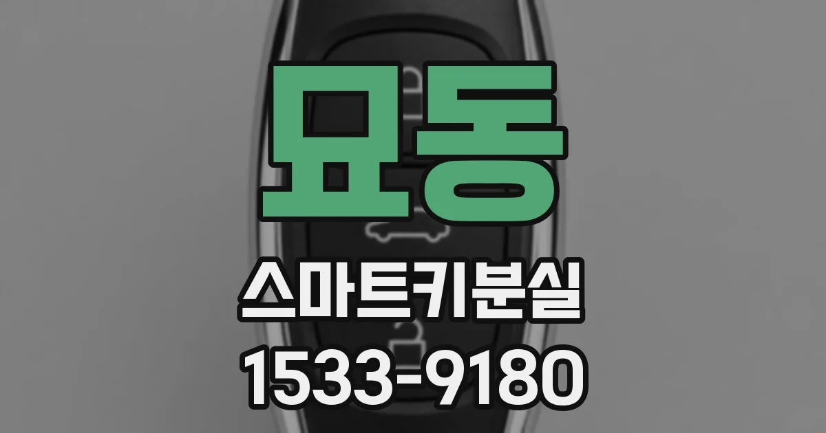 묘동 스마트키분실