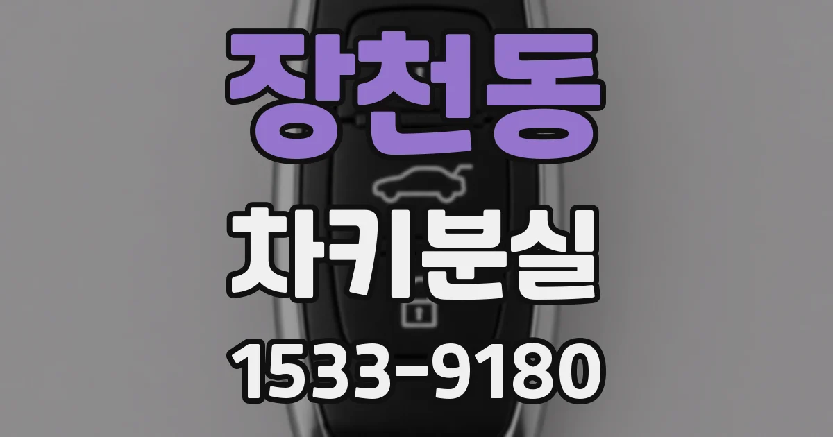 장천동 차키분실