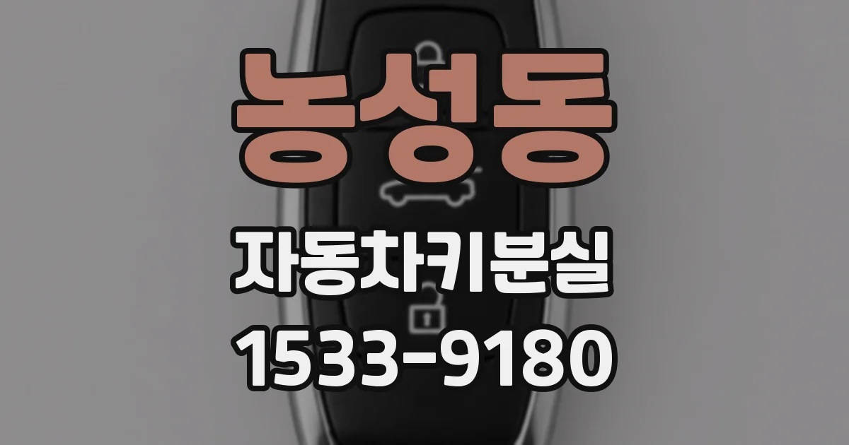 농성동 자동차키분실