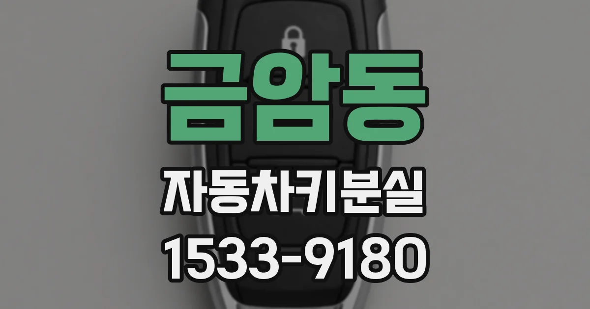 금암동 자동차키분실