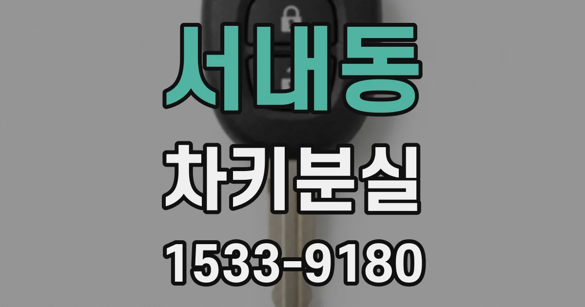 서내동 차키분실