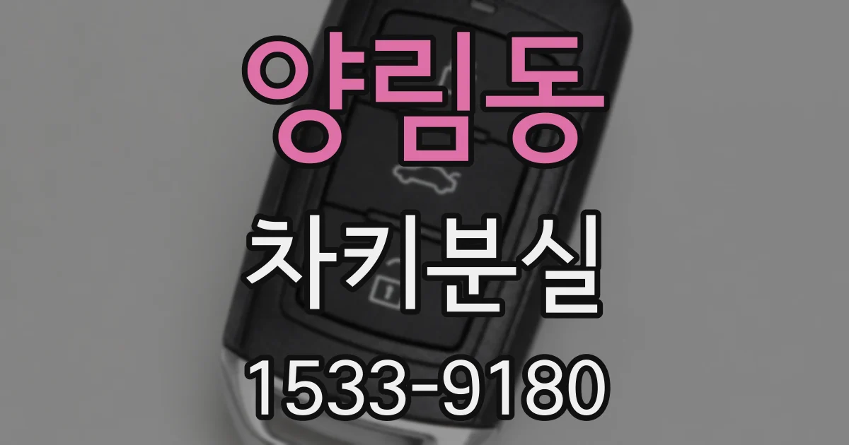 양림동 차키분실