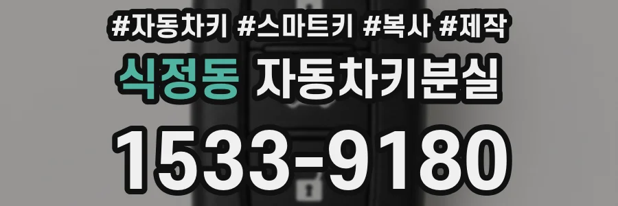 식정동 자동차키분실