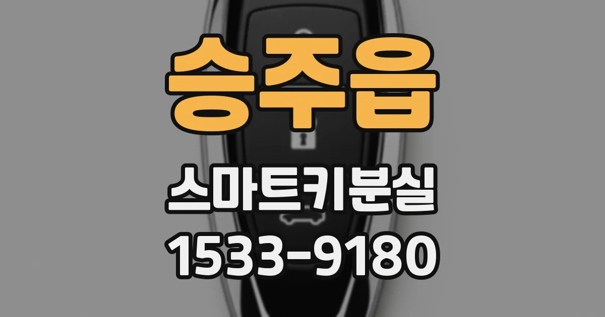 승주읍 스마트키분실