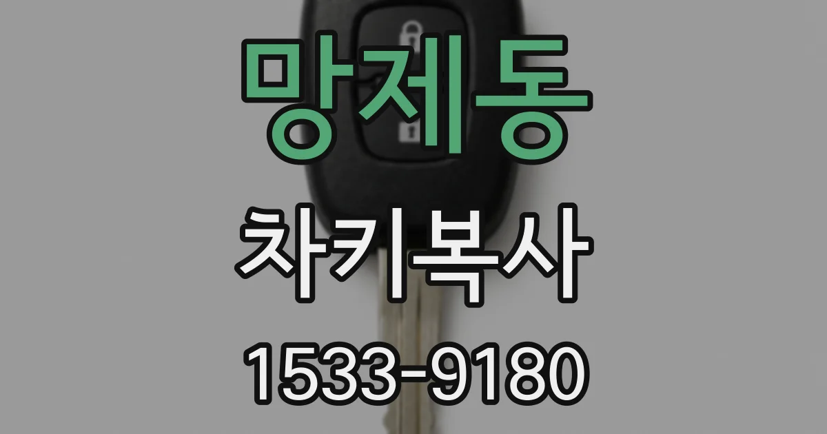 망제동 차키복사