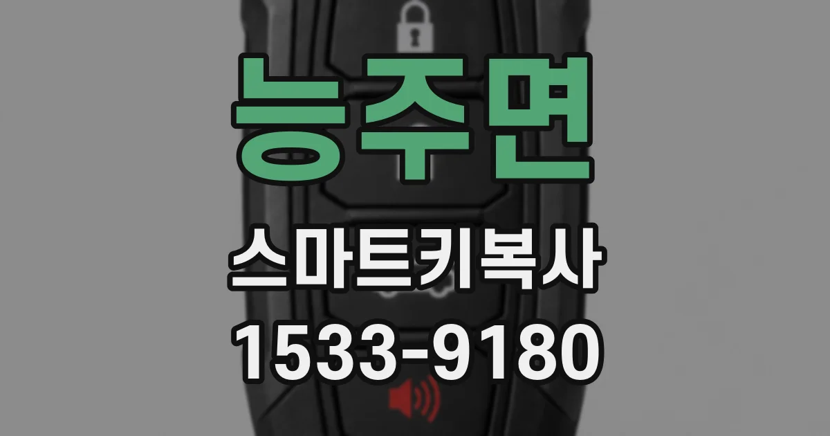 능주면 스마트키복사