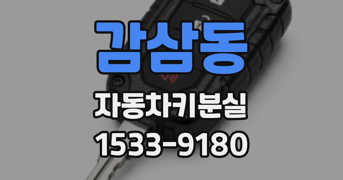 감삼동 자동차키분실