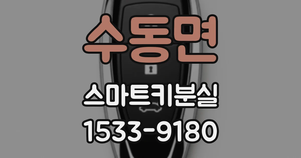수동면 스마트키분실