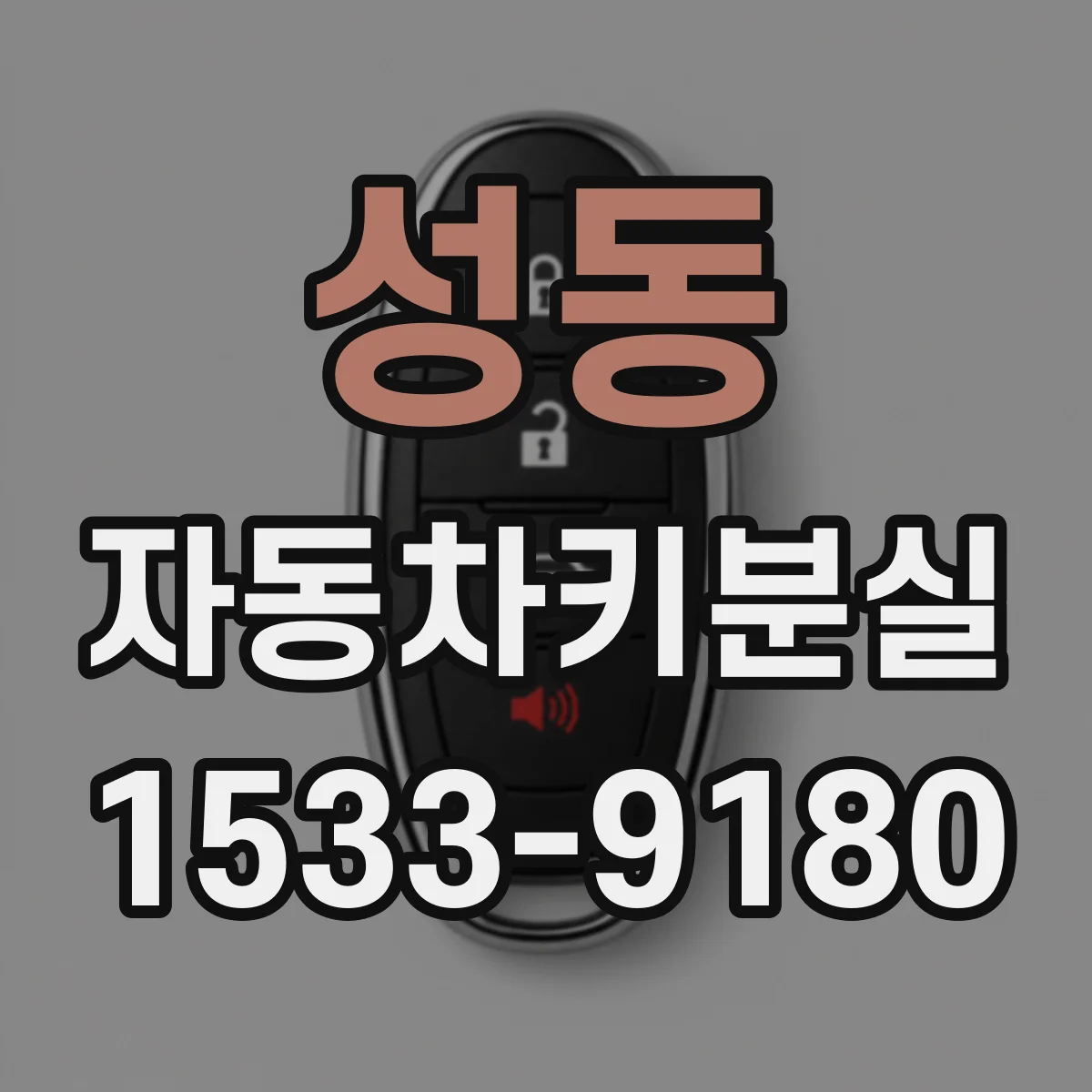 성동 자동차키분실