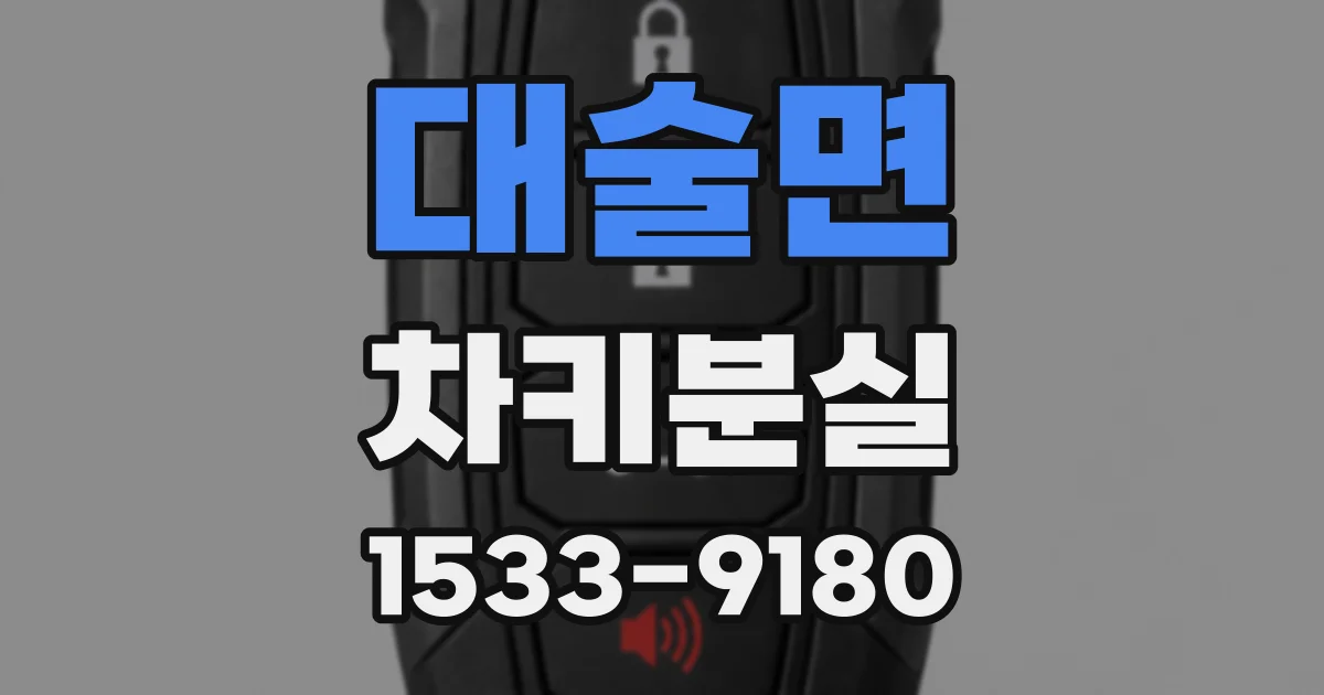 대술면 차키분실