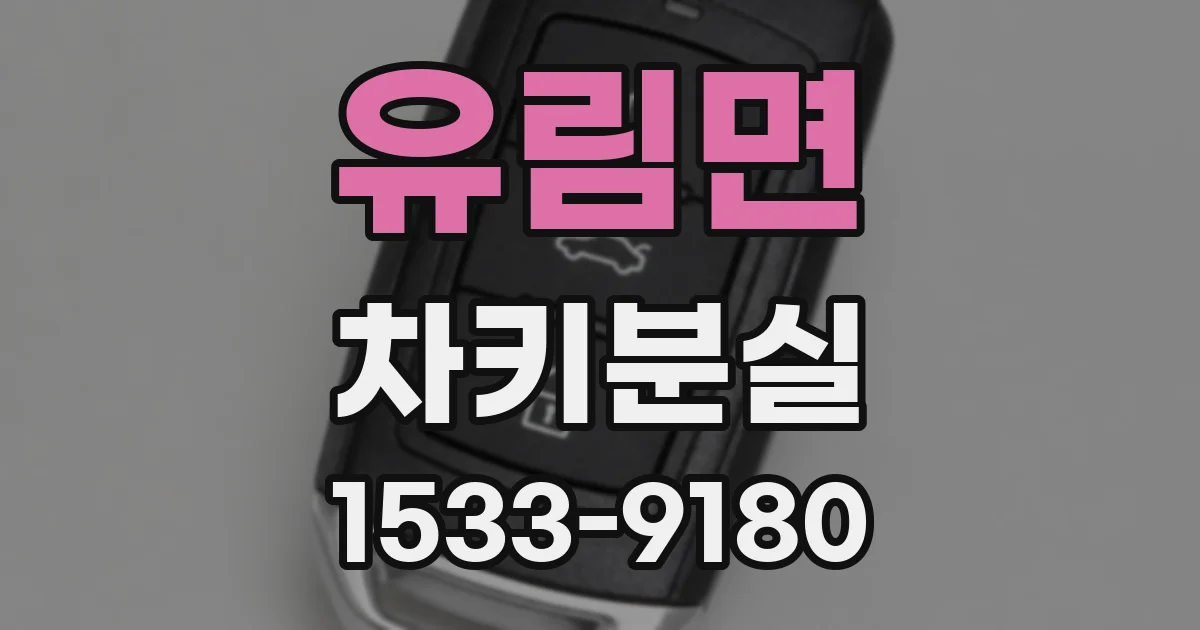 유림면 차키분실