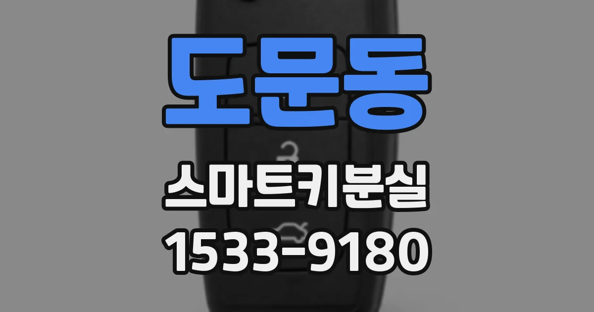 도문동 스마트키분실