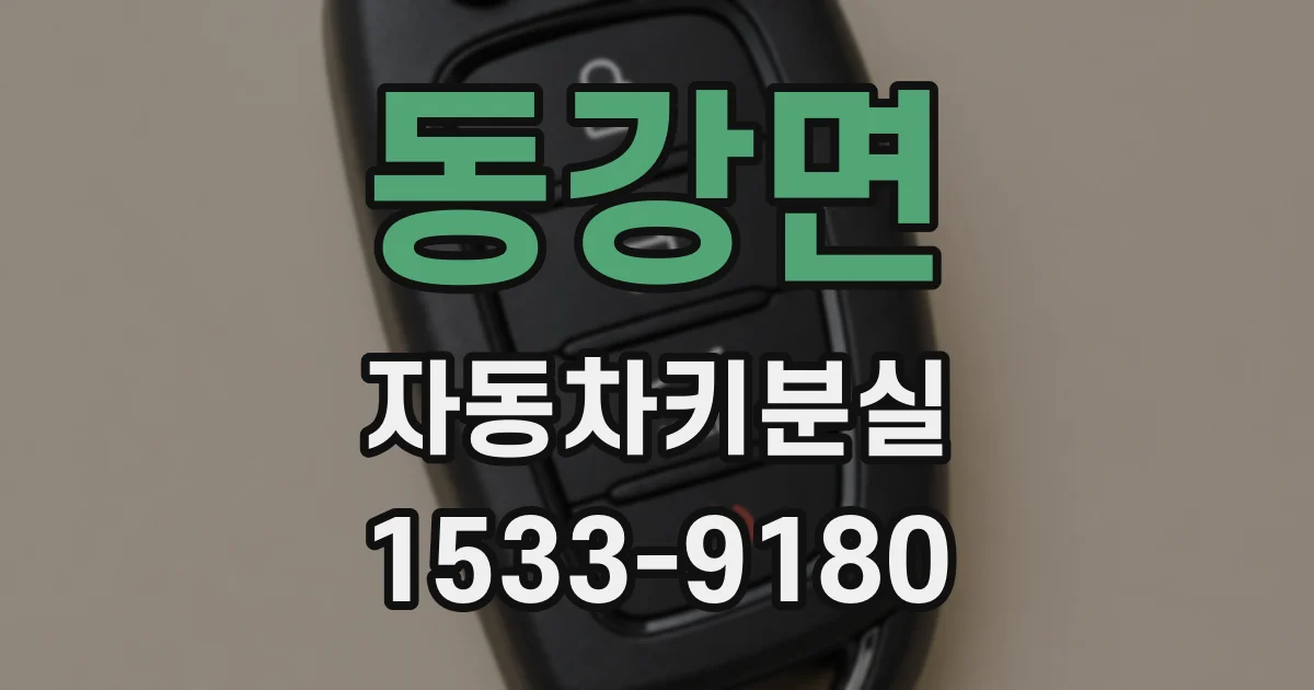 동강면 자동차키분실