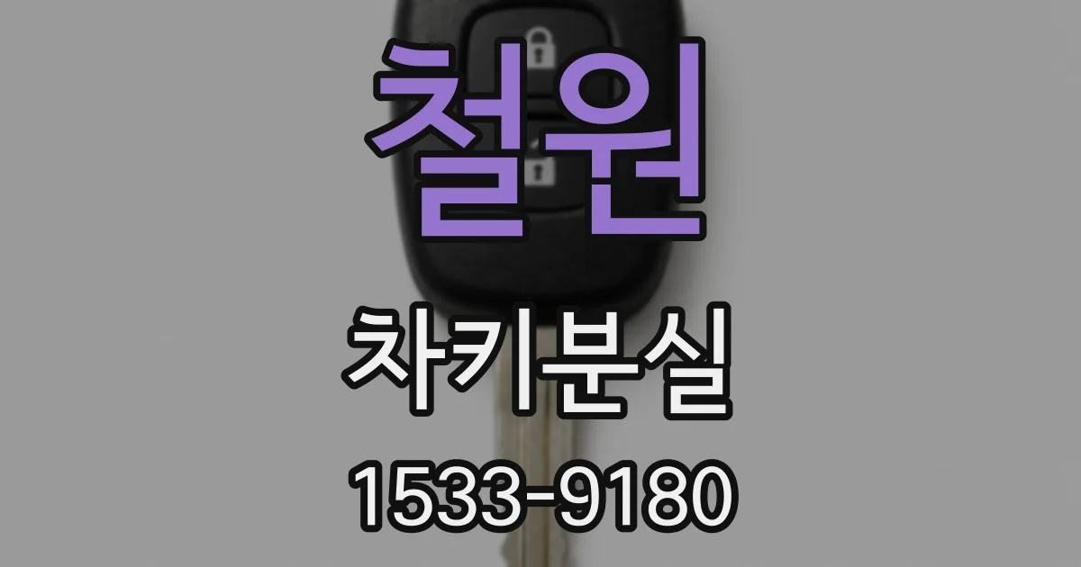 철원 차키분실