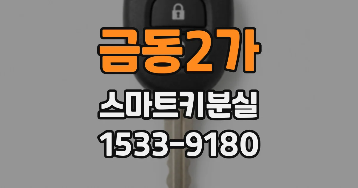 금동2가 스마트키분실