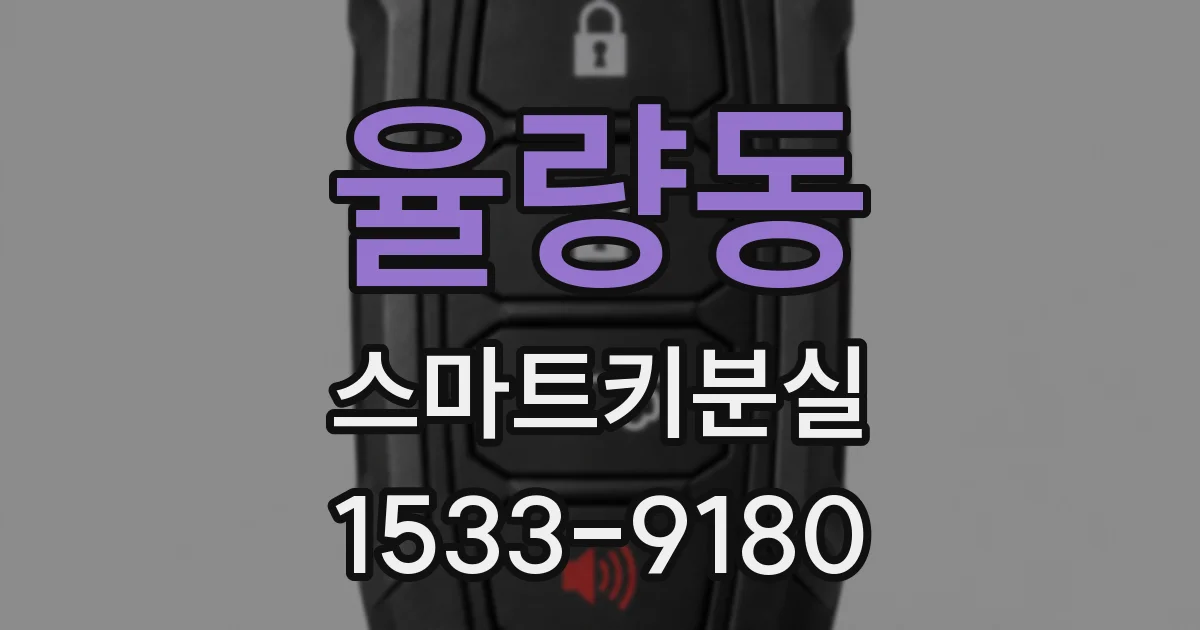 율량동 스마트키분실