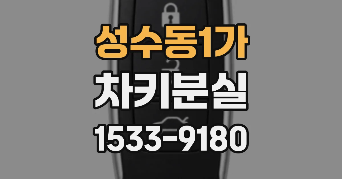 성수동1가 차키분실