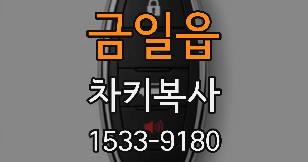 금일읍 차키복사