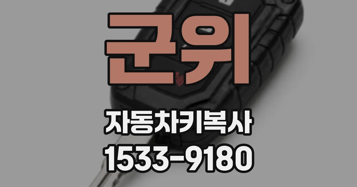 군위 자동차키복사