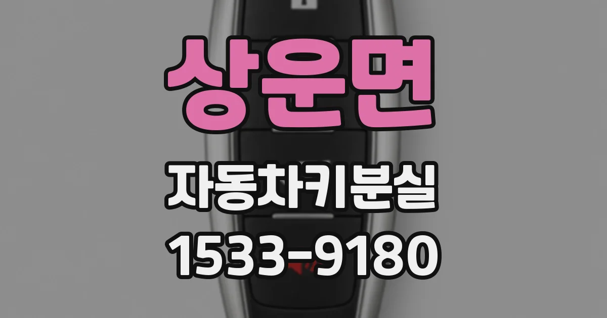 상운면 자동차키분실