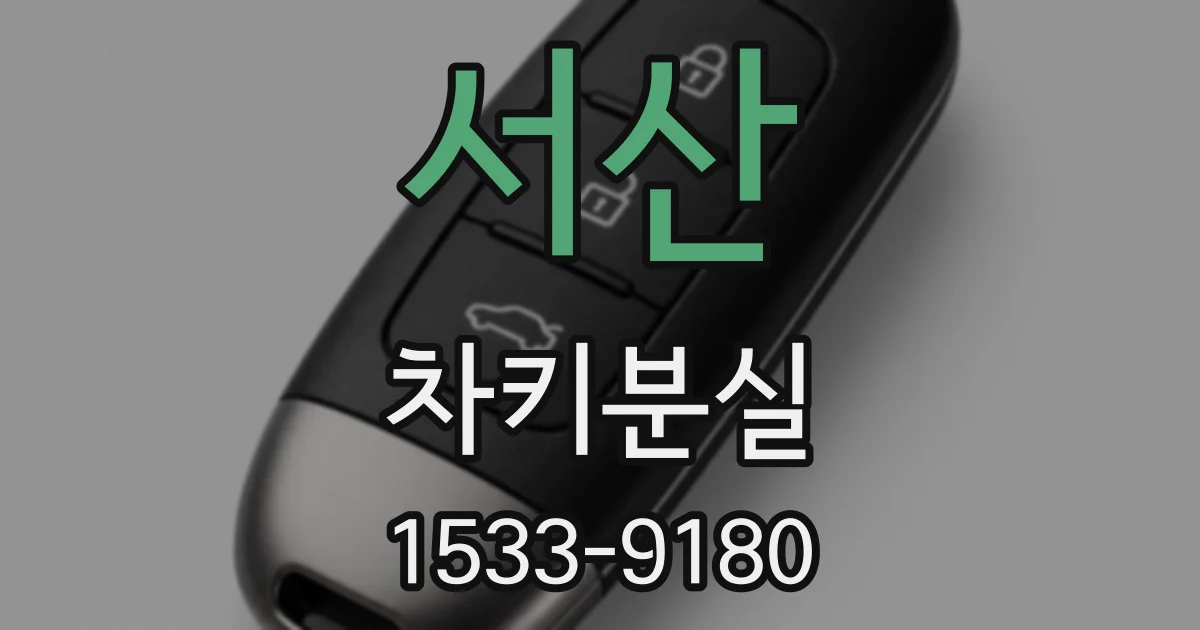 서산 차키분실