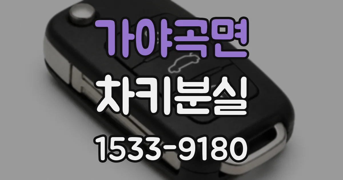 가야곡면 차키분실