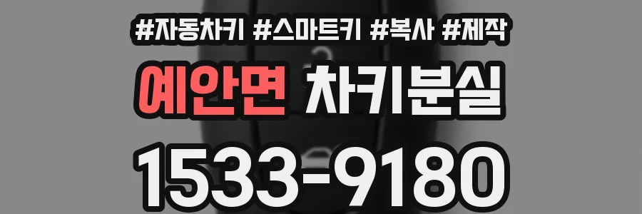예안면 차키분실