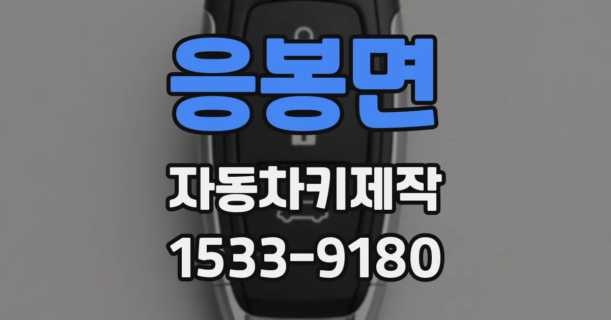 응봉면 자동차키제작
