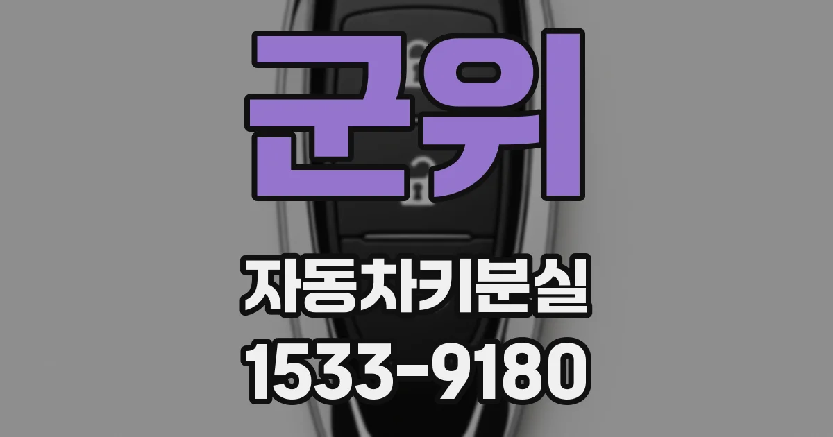 군위 자동차키분실