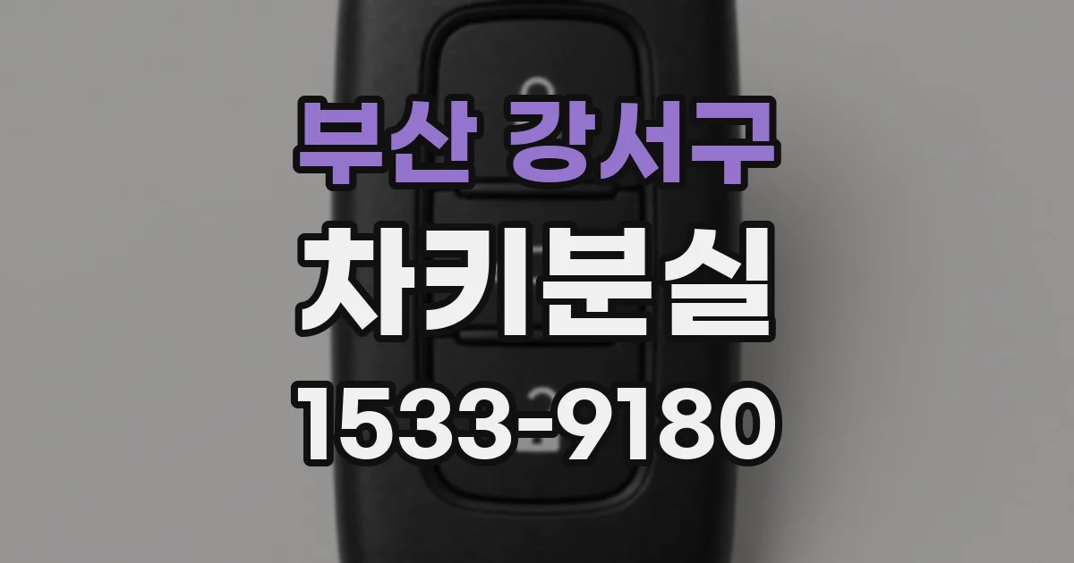 부산 강서구 차키분실