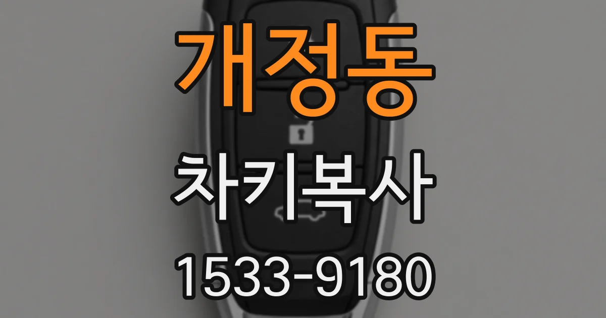 개정동 차키복사