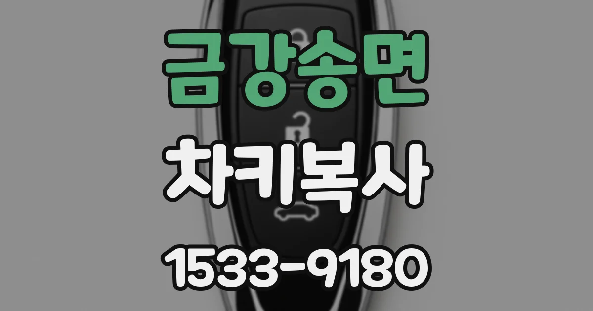 금강송면 차키복사