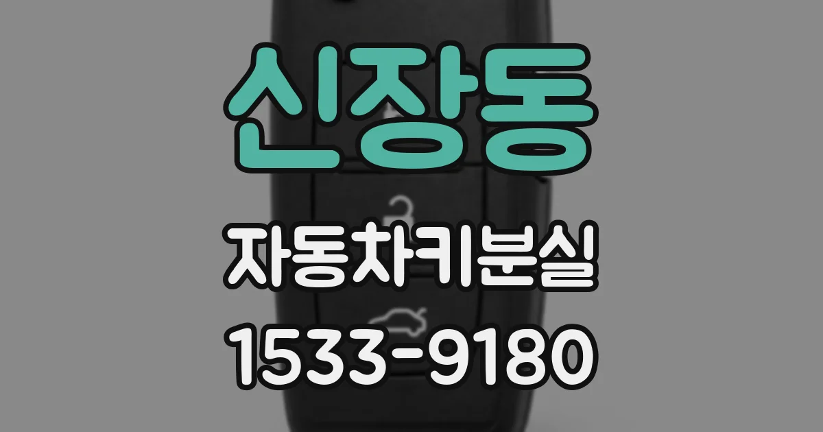 신장동 자동차키분실