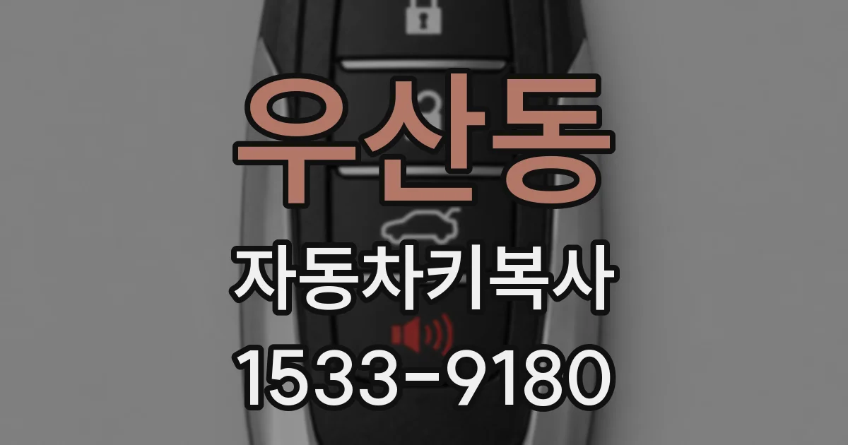 우산동 자동차키복사
