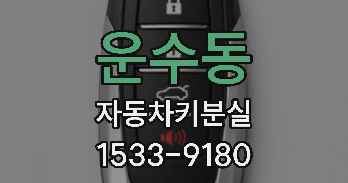 운수동 자동차키분실