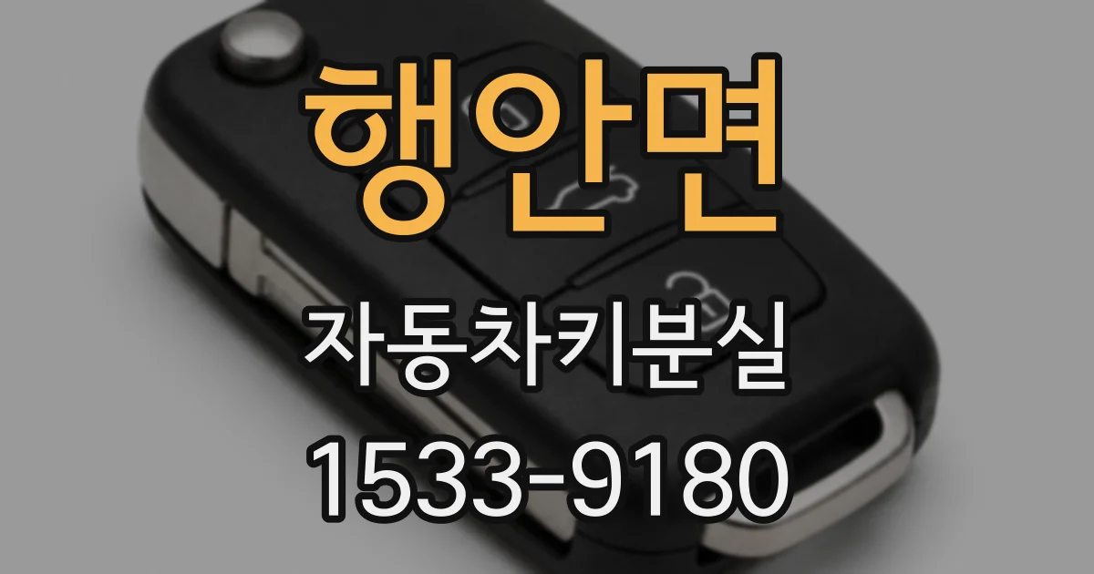 행안면 자동차키분실